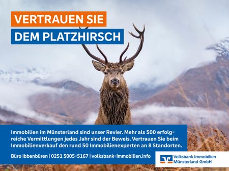 Platzhirsch_EbayKleinanzeigen_2400x1800Pixel_221201_Ibbenbueren